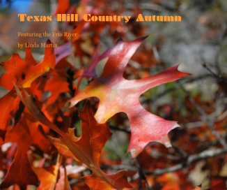Texas Hill Country Autumn book cover