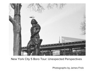 New York City 5 Boro Tour: Unexpected Perspectives book cover