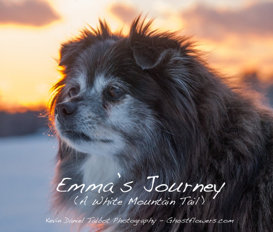 Bekijk Emma's Journey (A White Mountain Tail) op Kevin Daniel Talbot