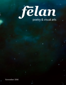 felan - issue 8 Envy book cover