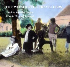 THE WONDERFUL TRAVELLERS book cover