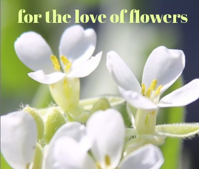 for the love of flowers book cover