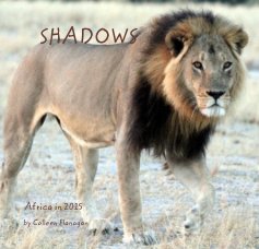 SHADOWS book cover