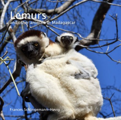 Lemurs book cover