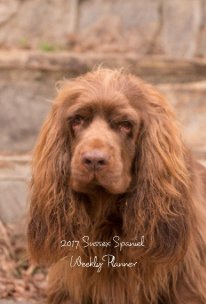2017 Sussex Spaniel Weekly Planner book cover
