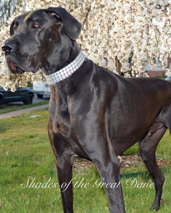 Ver Shades of the Great Dane por Mid-Atlantic Great Dane Rescue, Inc