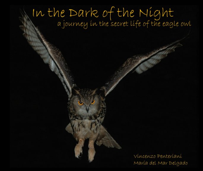 View In the dark of the night by V Penteriani, MM Delgado