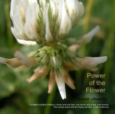 Power of the Flower book cover
