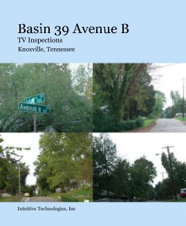 Business - Basin 39 Avenue B TV Inspections book cover