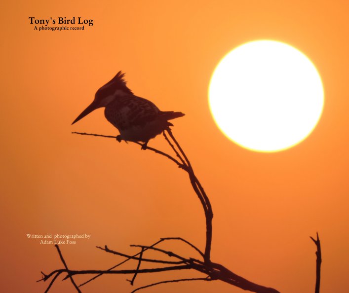 Bekijk Tony's Bird Log        A photographic record op Written and  photographed by            Adam Luke Foss