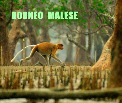 BORNEO MALESE book cover