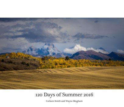 120 Days of Summer 2016 book cover
