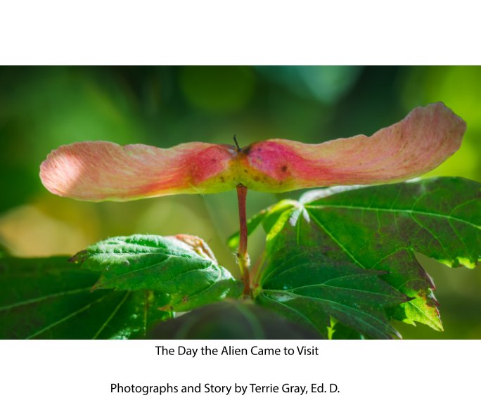 Ver The Day the Alien Came to Visit por Terrie Gray, Ed. D.