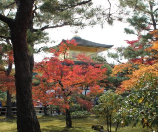 Colors of autumn in Kyoto book cover