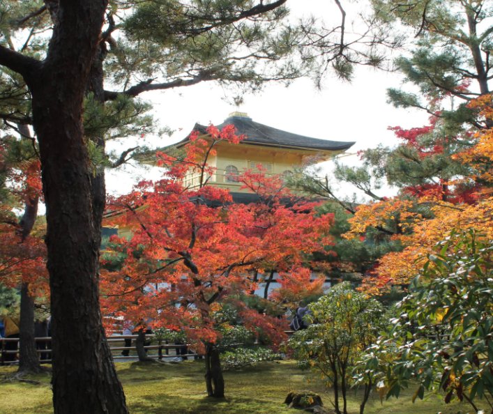 View Colors of autumn in Kyoto by Luca Pozza