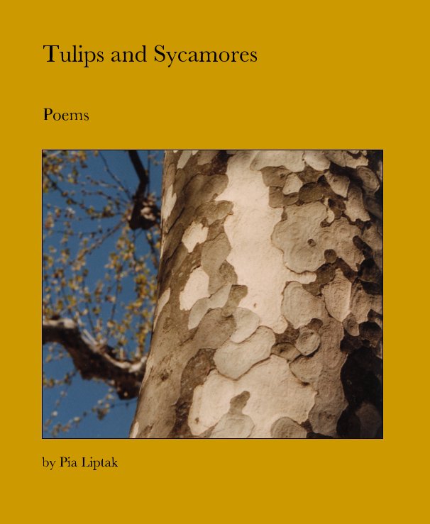 Ver Tulips and Sycamores por Pia Liptak