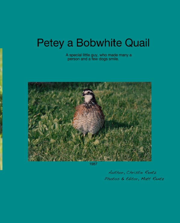 View Petey a Bobwhite Quail by Christie Rentz