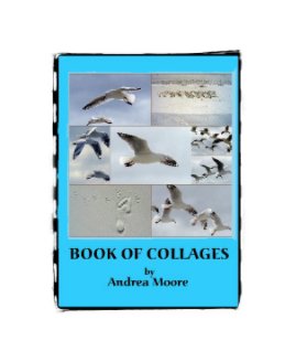 BOOK OF COLLAGES book cover