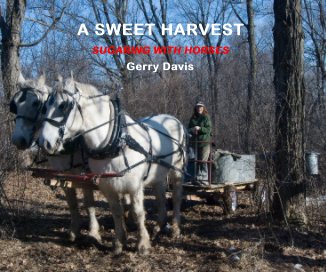 A SWEET HARVEST book cover