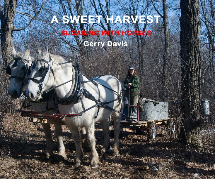 View A SWEET HARVEST by Gerry Davis