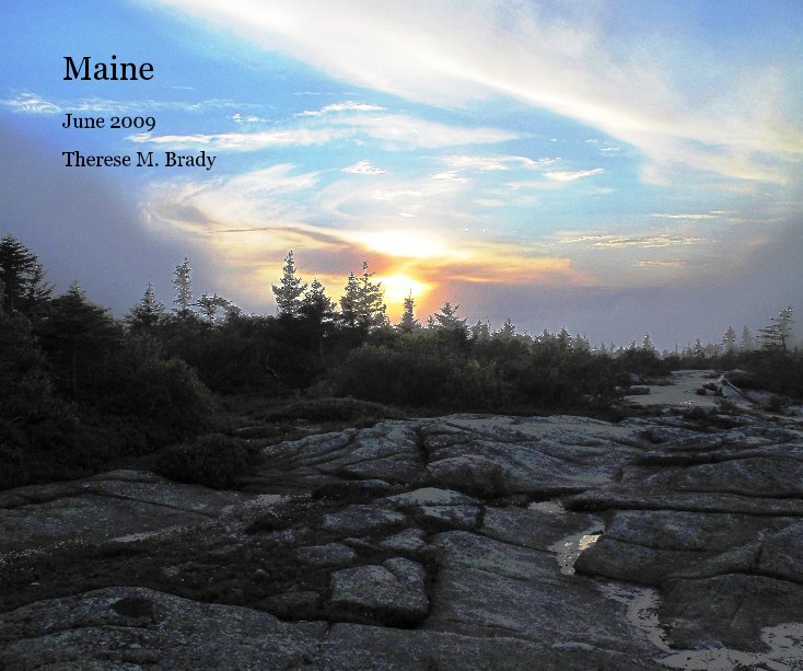 View Maine by Therese M. Brady