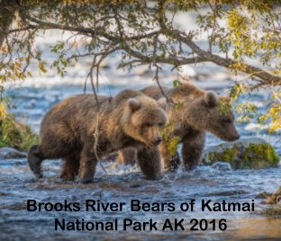 Brooks River Bears of Katmai National Park AK 2016 book cover