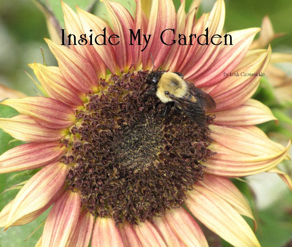 View Inside My Garden by Leah Grossnickle