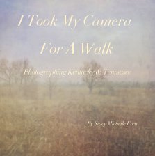 I Took My Camera For A Walk book cover
