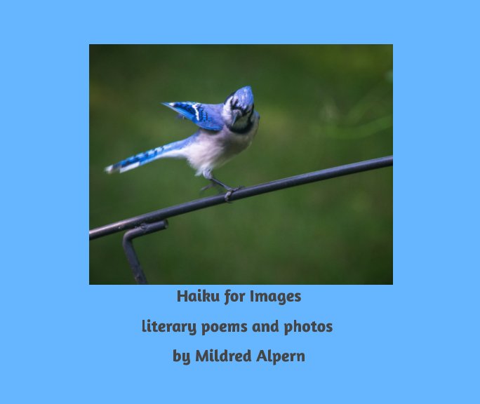 View Haiku for Images by Mildred Alpern