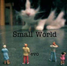 Small World book cover