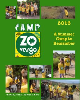2016  A Summer Camp to Remember book cover