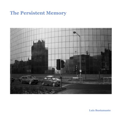 The Persistent Memory book cover