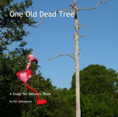 One Old Dead Tree book cover