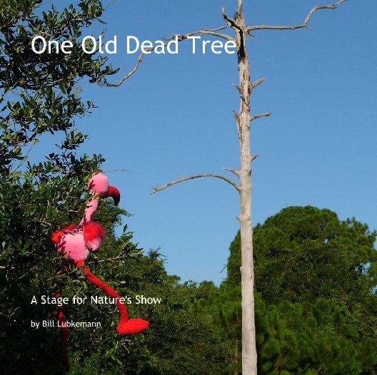 Bekijk One Old Dead Tree op Bill Lubkemann