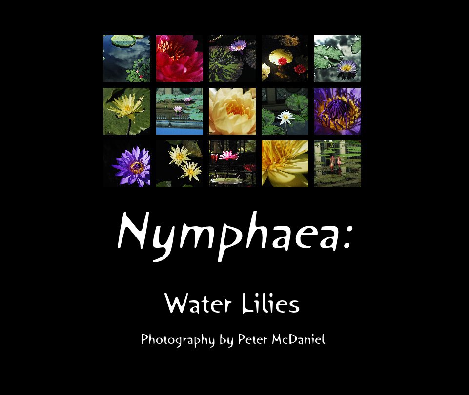 Bekijk Nymphaea: op Photography by Peter McDaniel