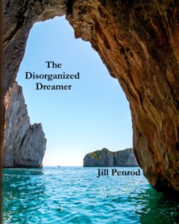 The Disorganized Dreamer book cover