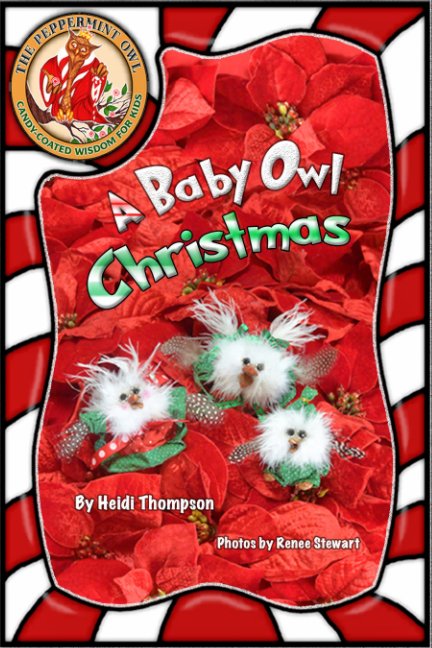 View A Baby Owl Christmas by Heidi Thompson