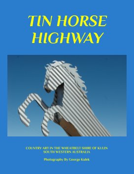 TIN HORSE HIGHWAY book cover