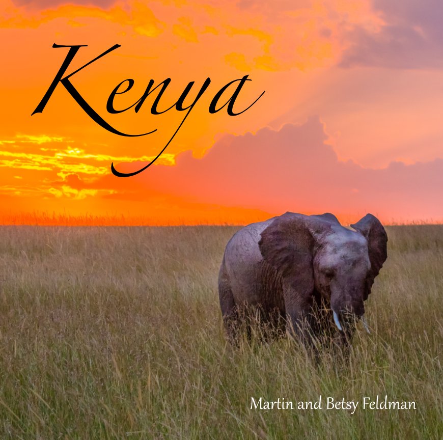 View Kenya by Martin and Betsy Feldman