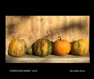 Steirischer Herbst 2016 book cover