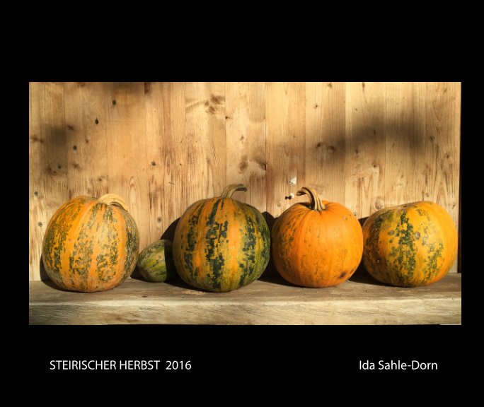 Bekijk Steirischer Herbst 2016 op Ida Sahle-Dorn