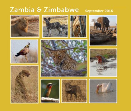 Zambia & Zimbabwe September 2016 book cover