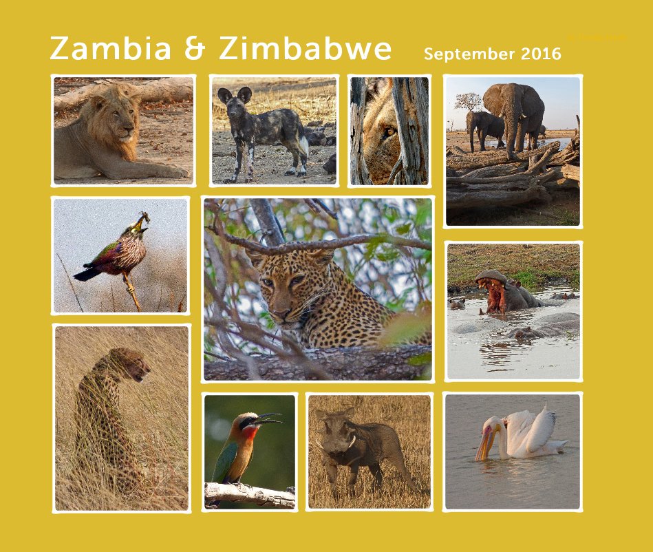View Zambia & Zimbabwe September 2016 by Ursula Jacob