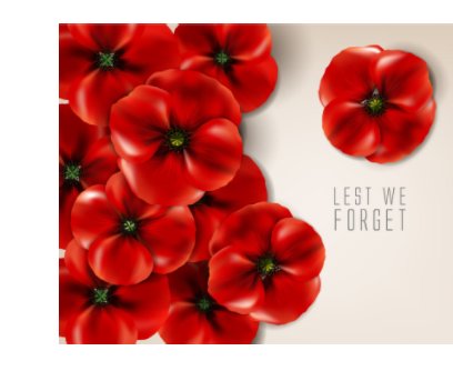 Remembrance Day, 2016 book cover