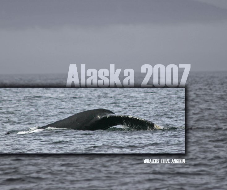 Visualizza ALASKA 2007 di Photos by Bruce & Vince