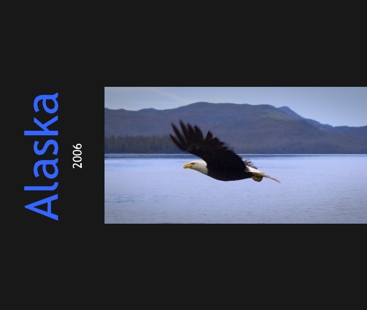 Visualizza Alaska: 2006/Shelter Cove di Richard M. Baron