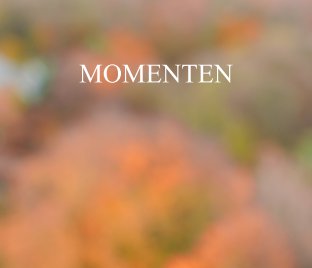 Momenten 2012 book cover