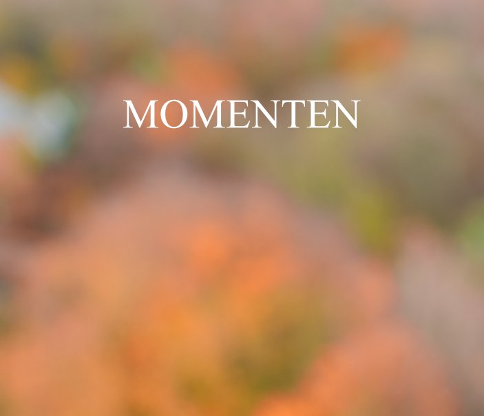 View Momenten 2012 by Frans van Leeuwen
