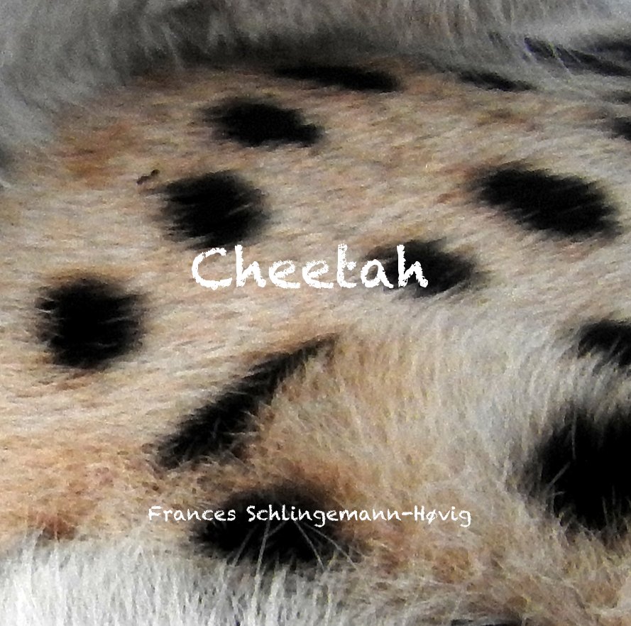 View Cheetah by Frances Schlingemann-Høvig