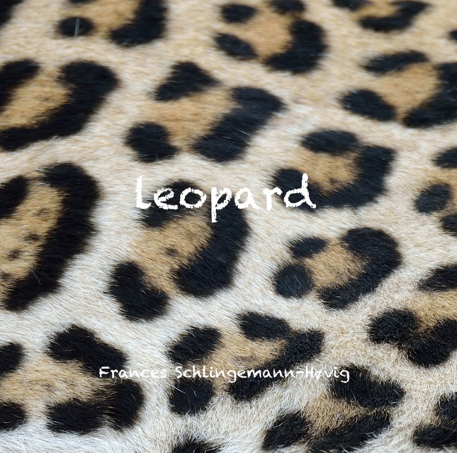 View leopard by Frances Schlingemann-Høvig